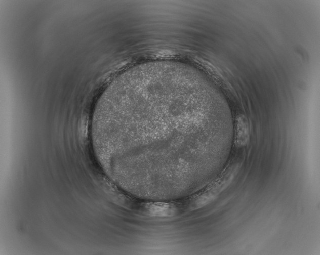 X0000112960230200909241206