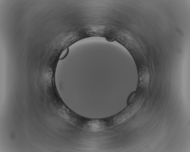 X0000112960231200909241206