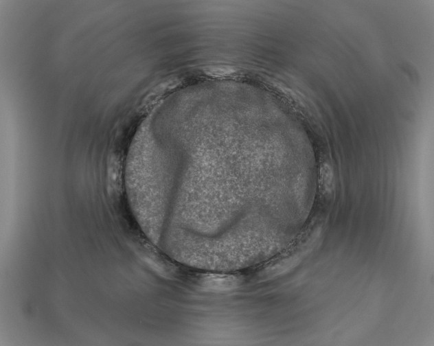 X0000112960234200909241206