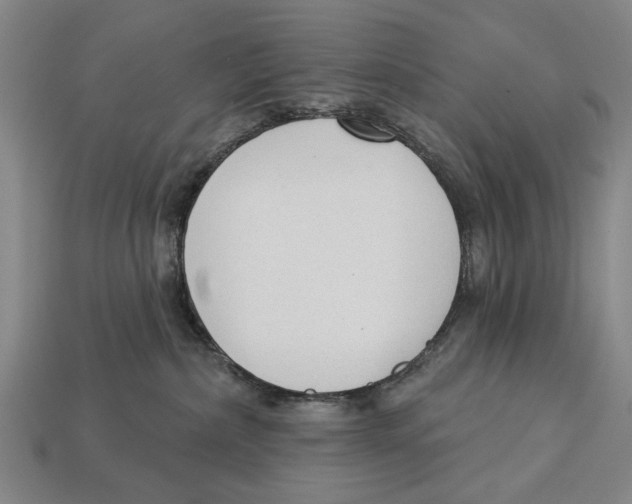 X0000112960236200909241206