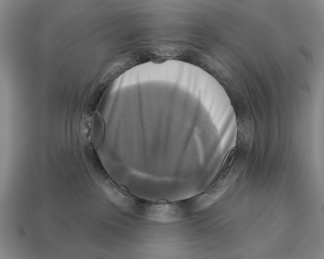 X0000112960237200909241206