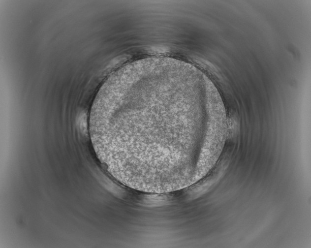 X0000112960238200909241206