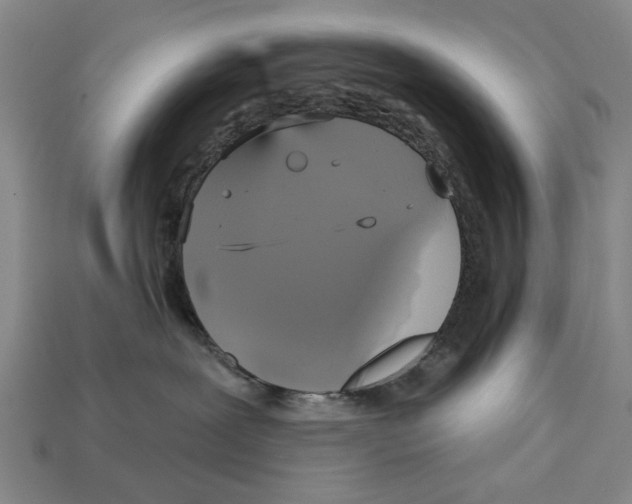 X0000112960239200909241206