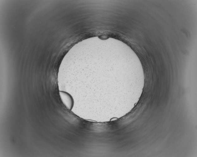 X0000112960240200909241206