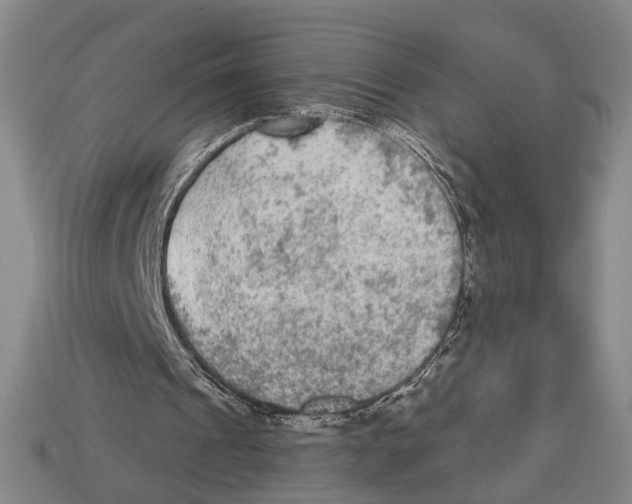 X0000112960241200909241205