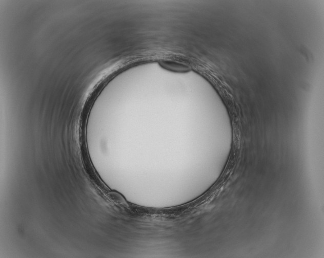 X0000112960244200909241205