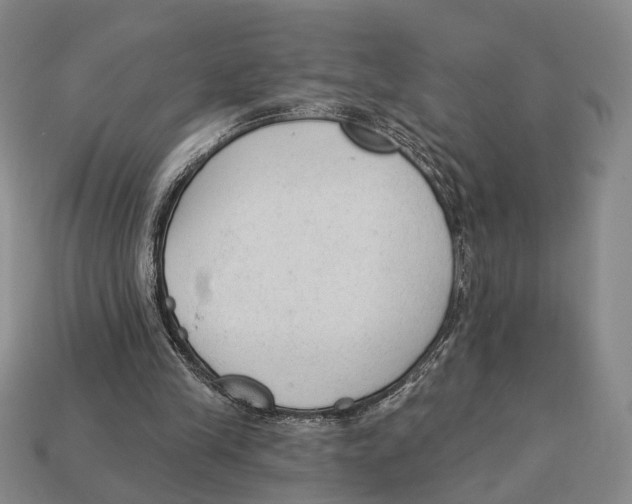 X0000112960245200909241205