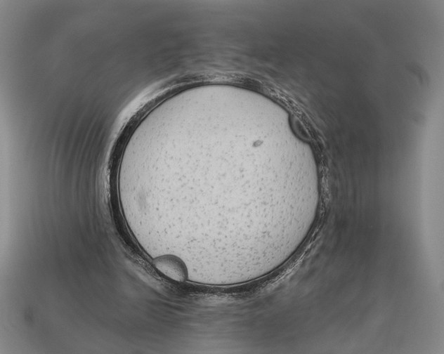 X0000112960246200909241205