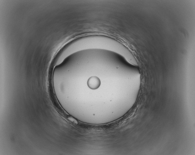 X0000112960248200909241205