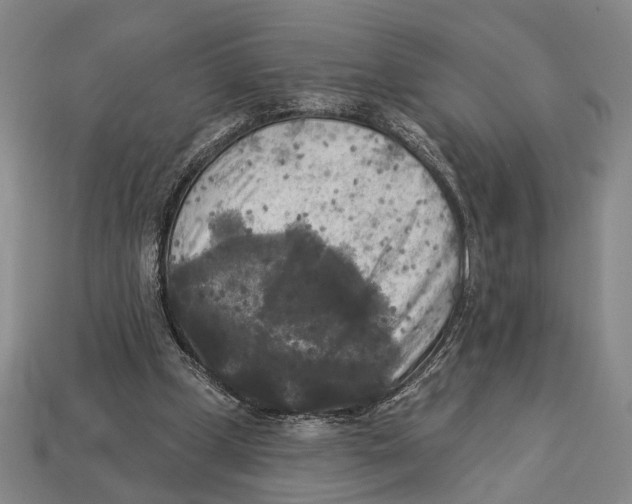 X0000112960249200909241205