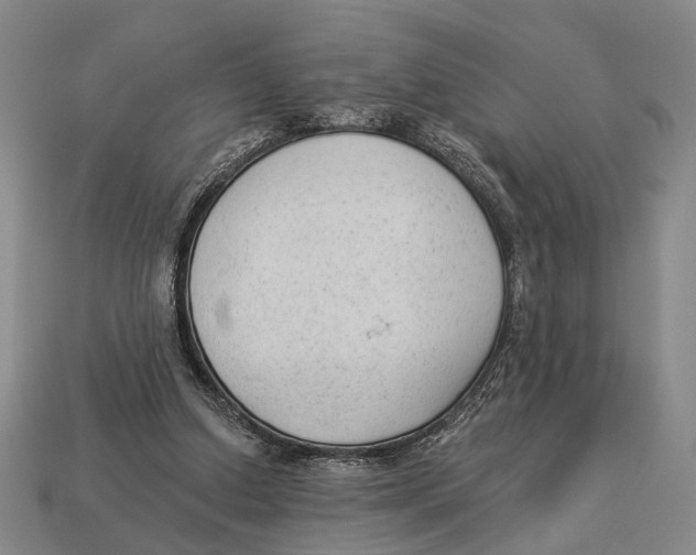 X0000112960250200909241205