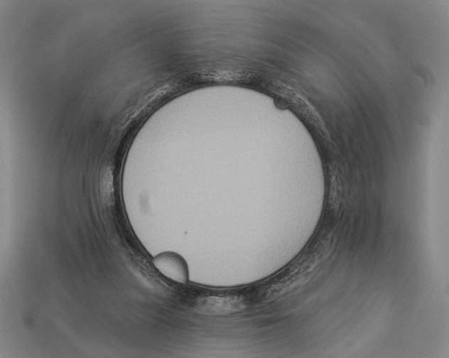 X0000112960251200909241205