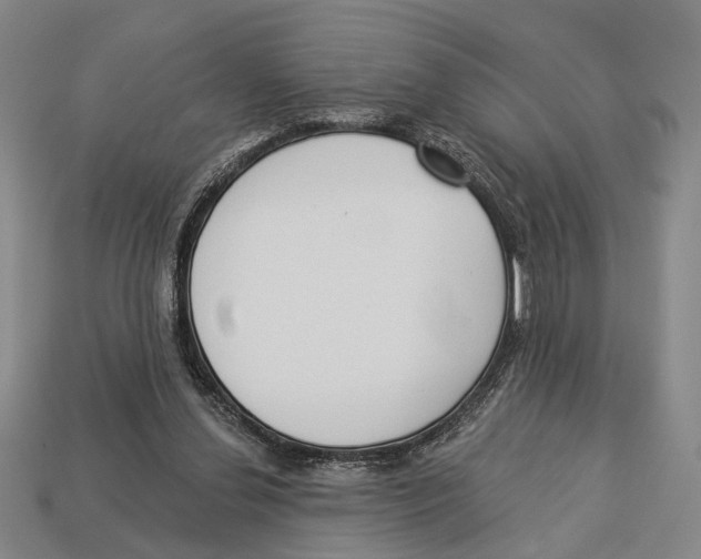 X0000112960252200909241205