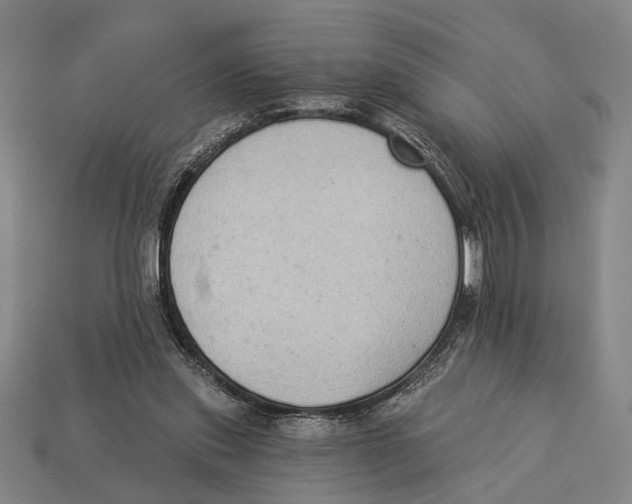 X0000112960253200909241205