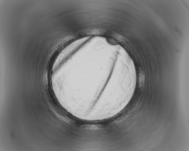 X0000112960254200909241205