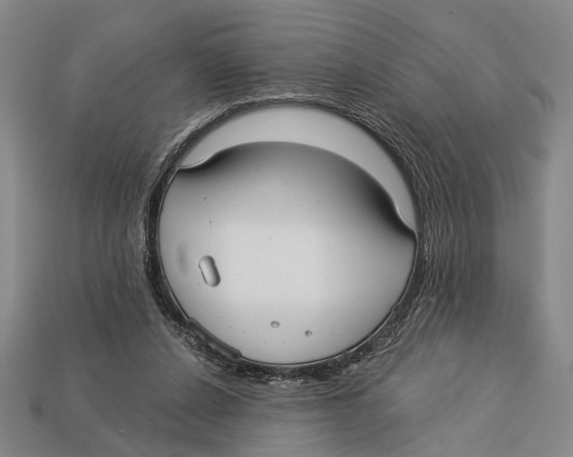 X0000112960256200909241205