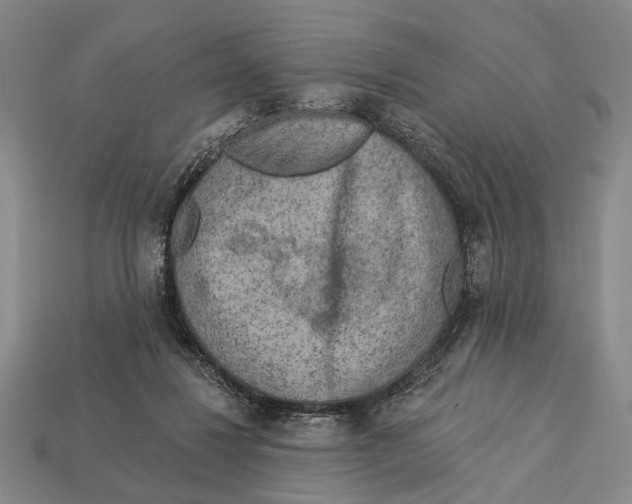 X0000112960260200909241206