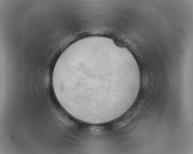 X0000112960261200909241206