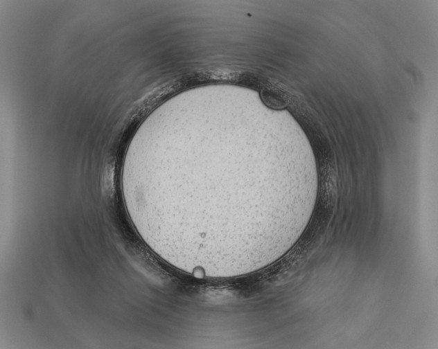 X0000112960262200909241206