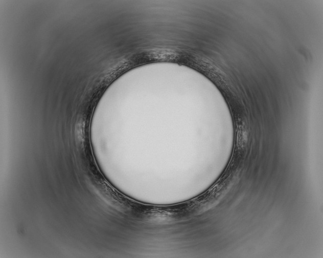 X0000112960263200909241206