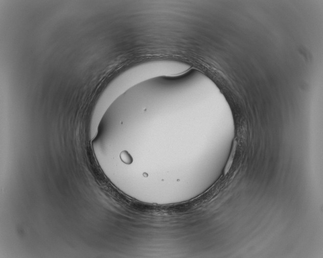 X0000112960264200909241206