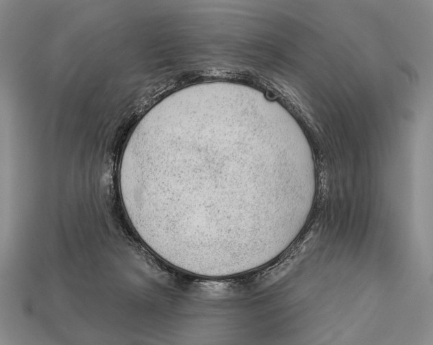 X0000112960265200909241206