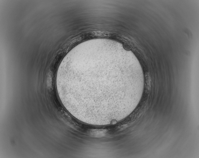 X0000112960266200909241206