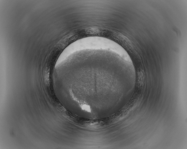 X0000112960267200909241206