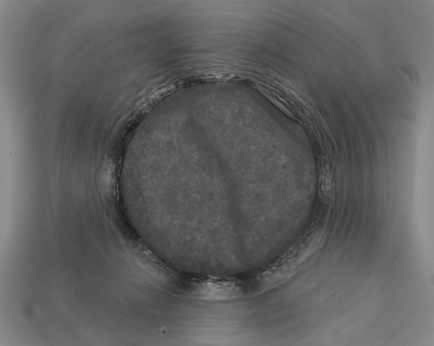 X0000112960270200909241206