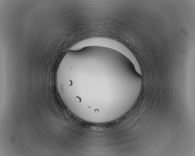 X0000112960272200909241206