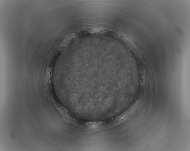 X0000112960273200909241206