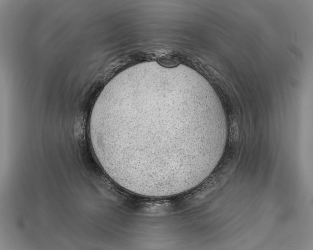 X0000112960274200909241206