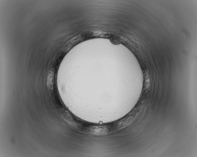 X0000112960275200909241206