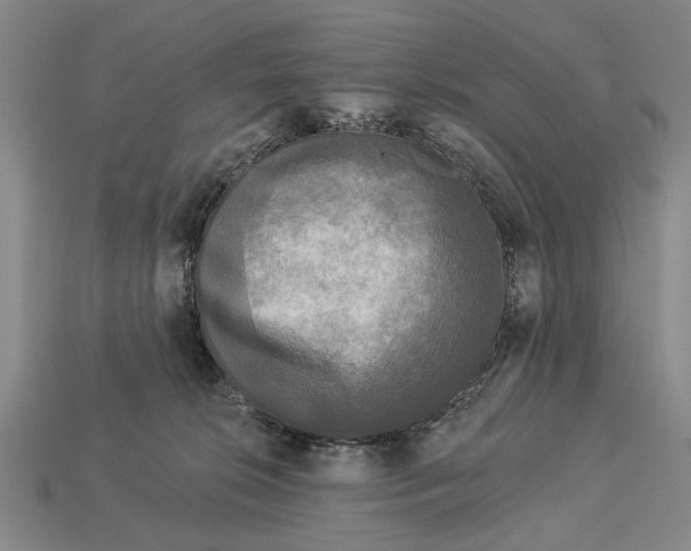 X0000112960276200909241206