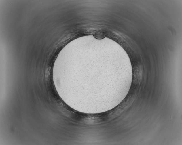 X0000112960278200909241206