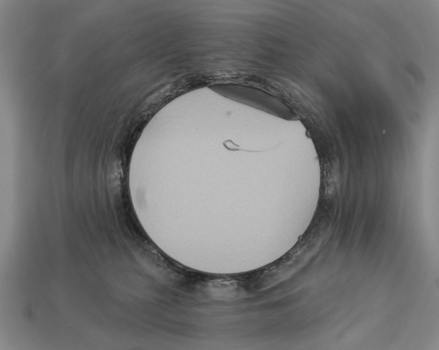 X0000112960279200909241206