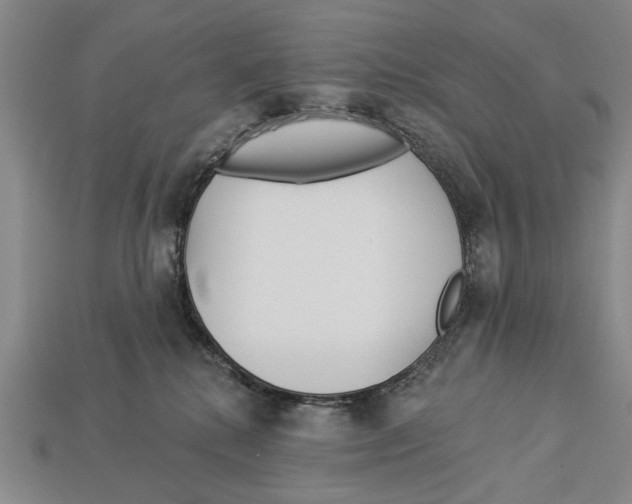 X0000112960280200909241206