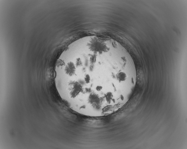 X0000112960284200909241206