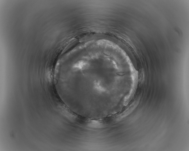 X0000112960285200909241206