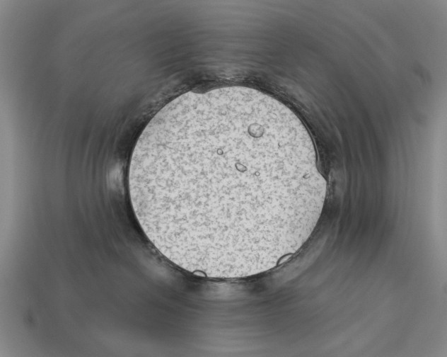 X0000112960286200909241206