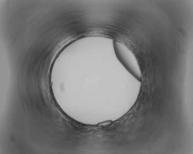 X0000112960289200909241205