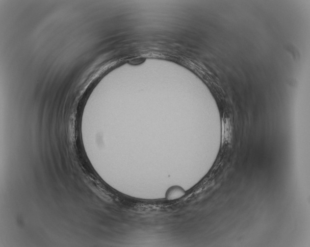 X0000112960291200909241205