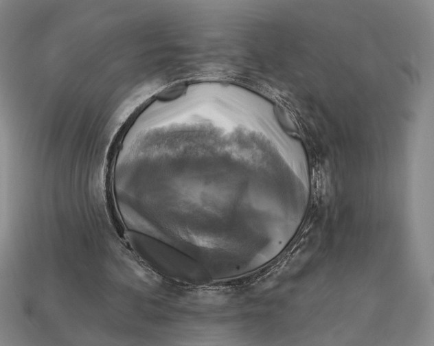 X0000112960292200909241205