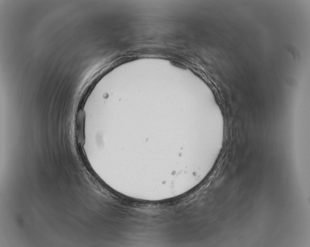 X0000112960293200909241205