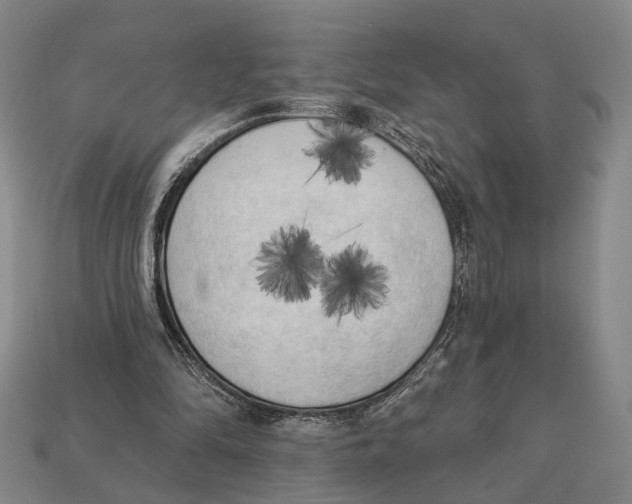 X0000112960294200909241205