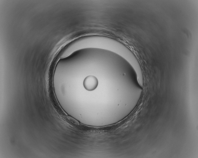 X0000112960296200909241205