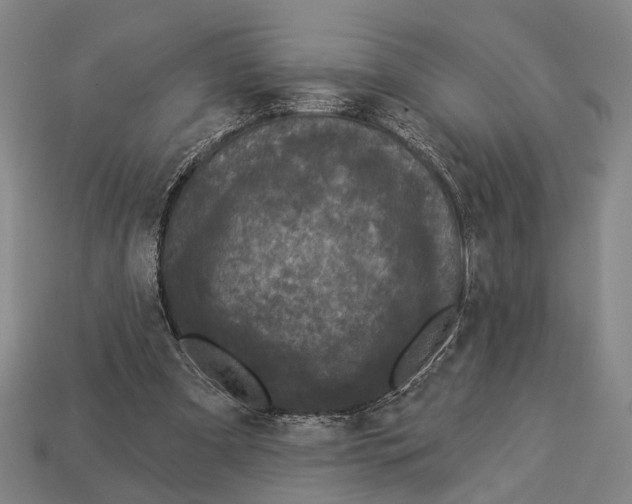 X0000112960297200909241205