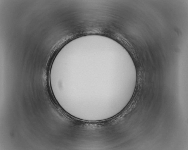 X0000112960298200909241205