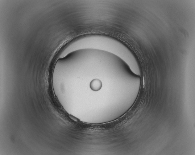 X0000112960300200909241205