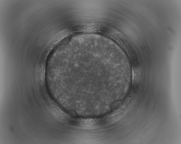 X0000112960301200909241205